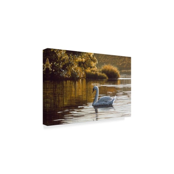 Ron Parker 'Morning On The Lagoon' Canvas Art,30x47